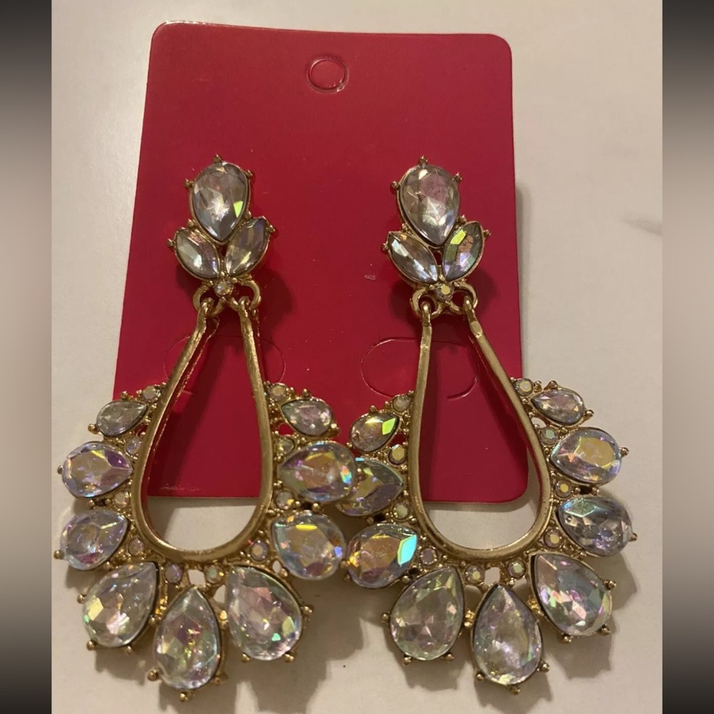 Beautiful Womens statement earrings